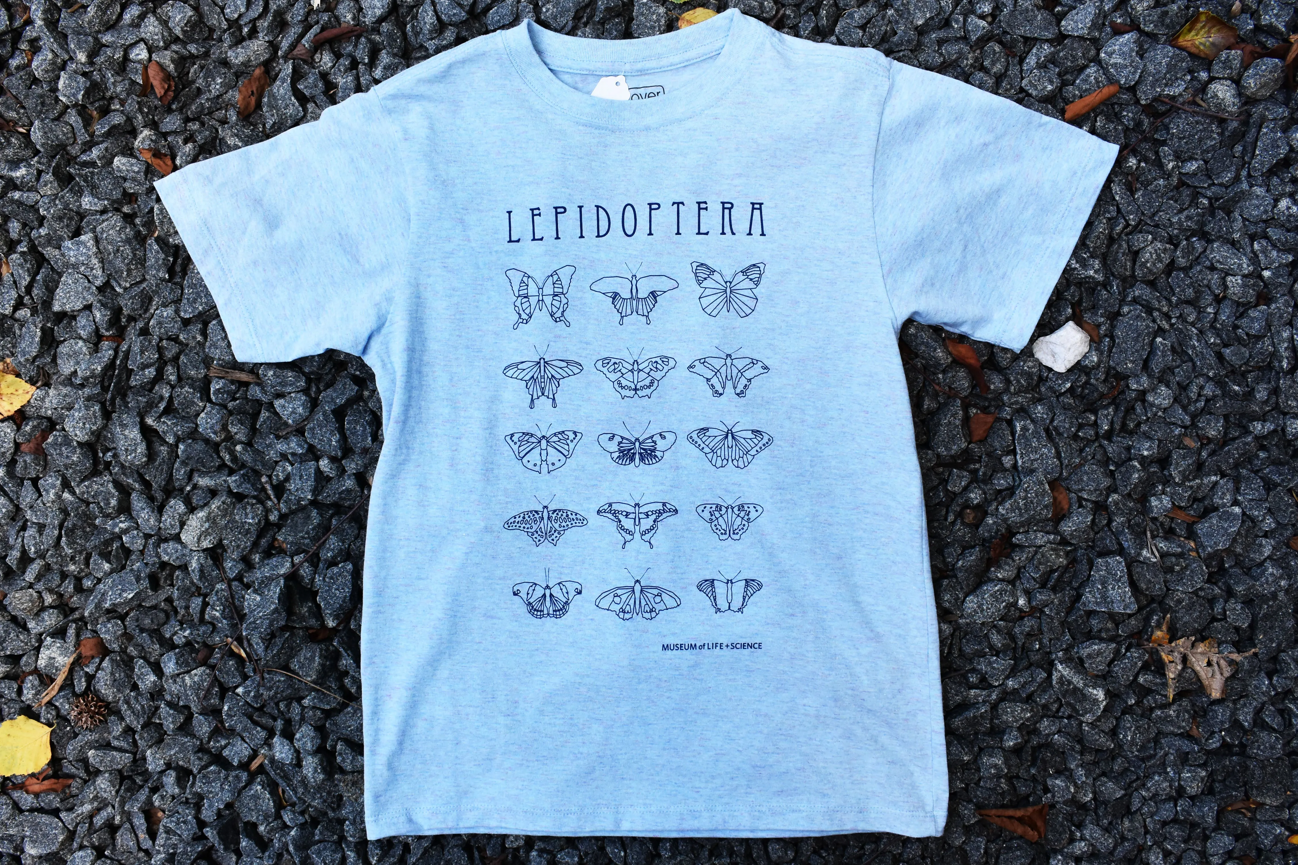 Cool Blue Lepidoptera T-shirt (youth   adult)