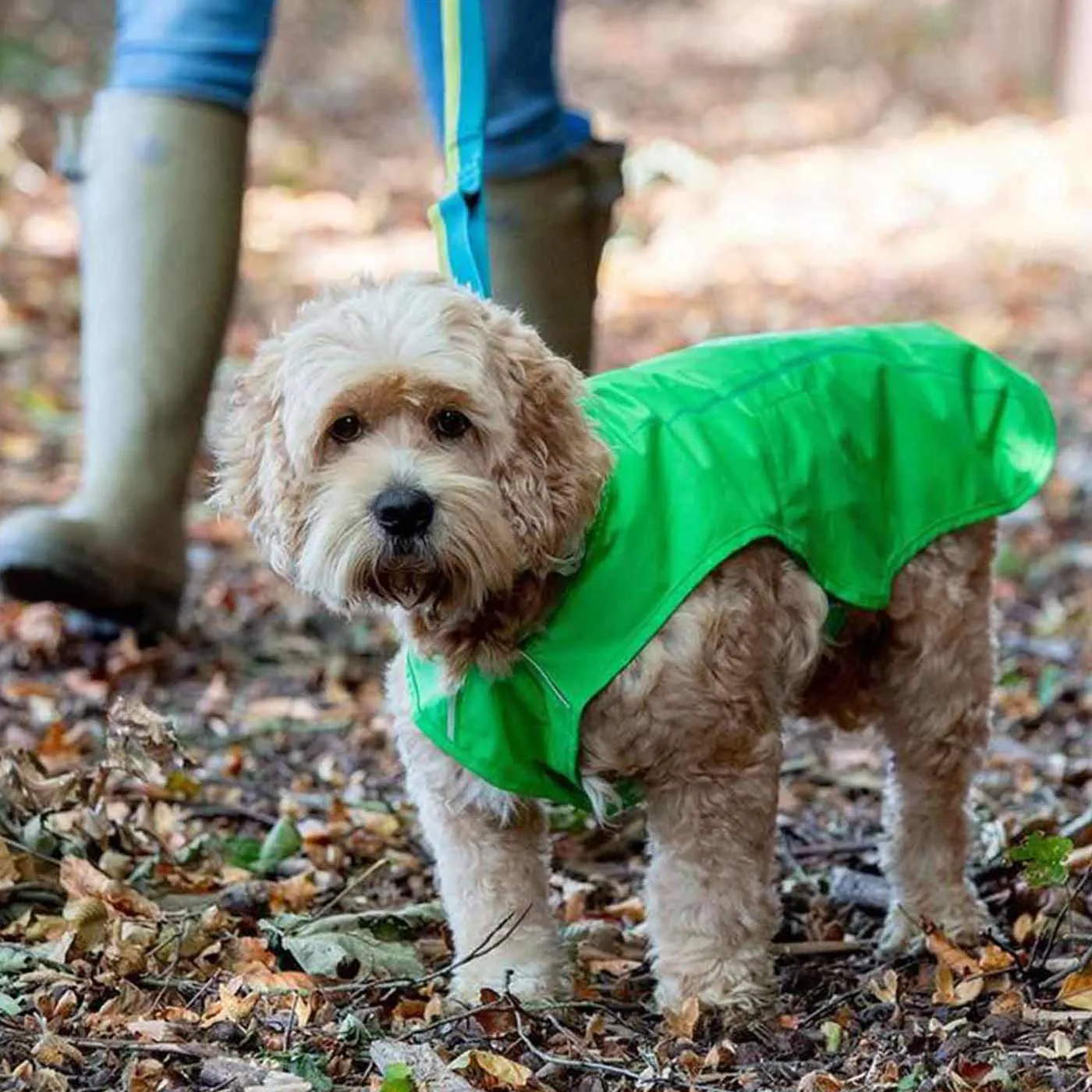 RuffWear Sun Shower Rain Jacket