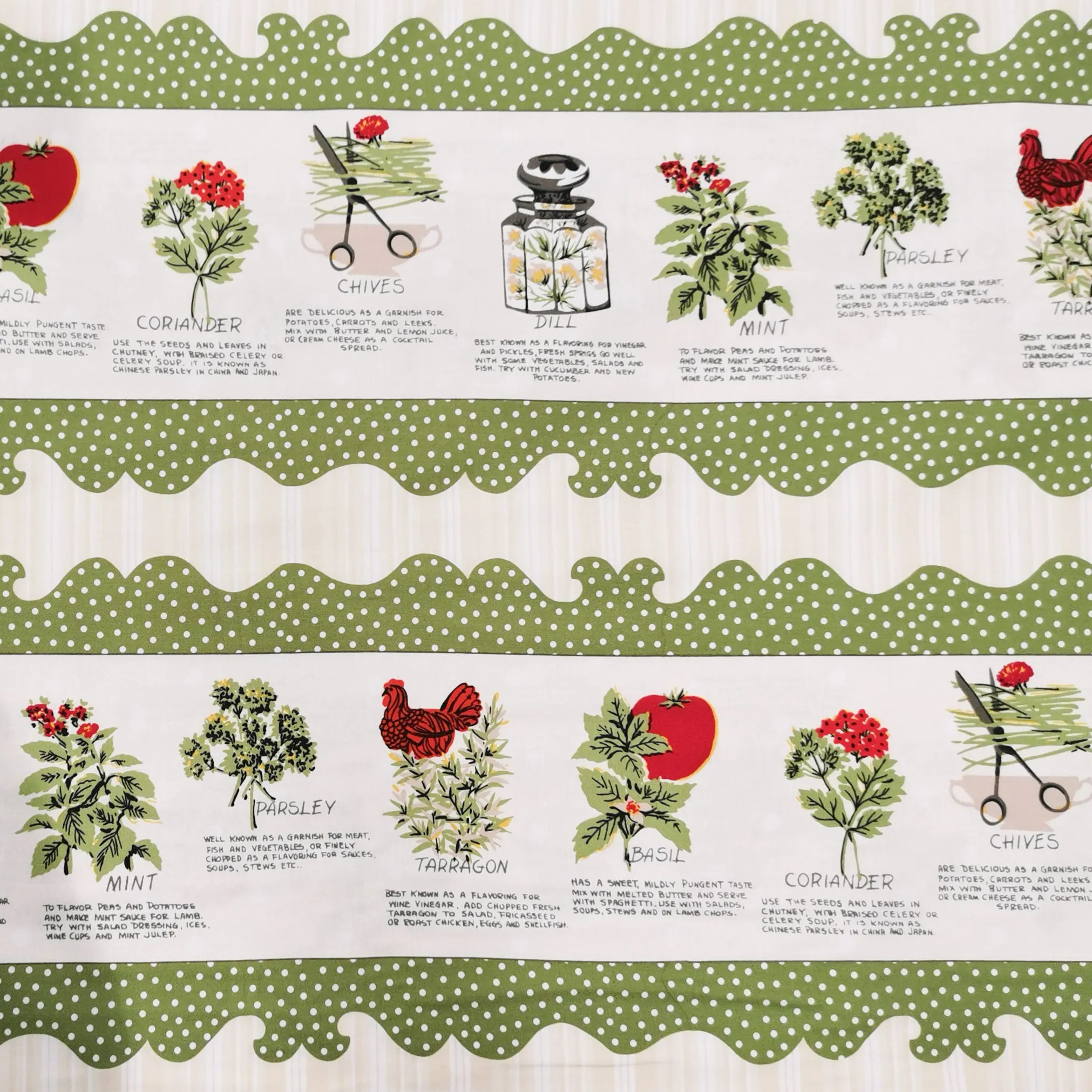 Wilmington Prints Coleslaw Vegetable with Green Stripe Cotton Prints