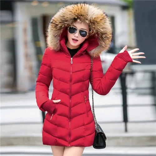 womens winter jackets and coats 2018 Parkas for women 4 Colors Wadded Jackets warm Outwear With a Hood Large Faux Fur Collar