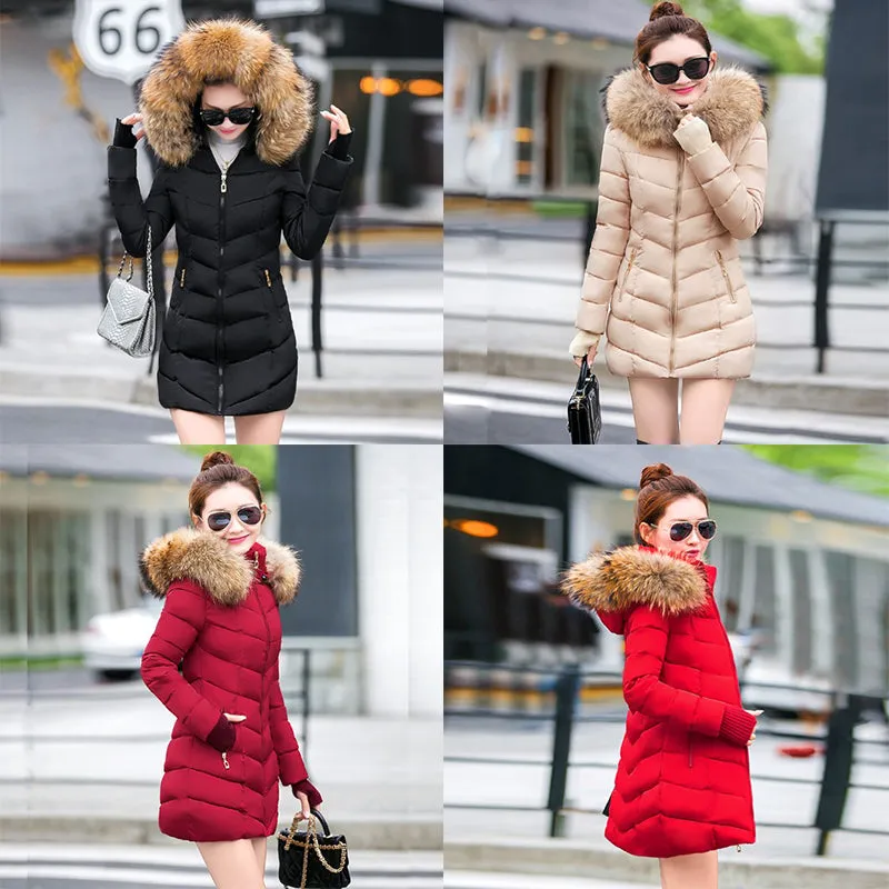 womens winter jackets and coats 2018 Parkas for women 4 Colors Wadded Jackets warm Outwear With a Hood Large Faux Fur Collar